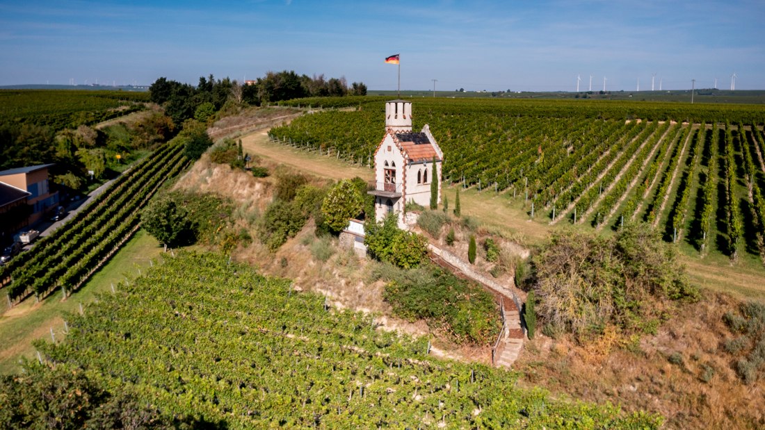 Osthofener Leckzapfen Osthofener Leckzapfen