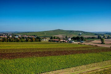 Biebelnheimer Pilgerstein, © Torsten Silz Biebelnheimer Pilgerstein, © Torsten Silz