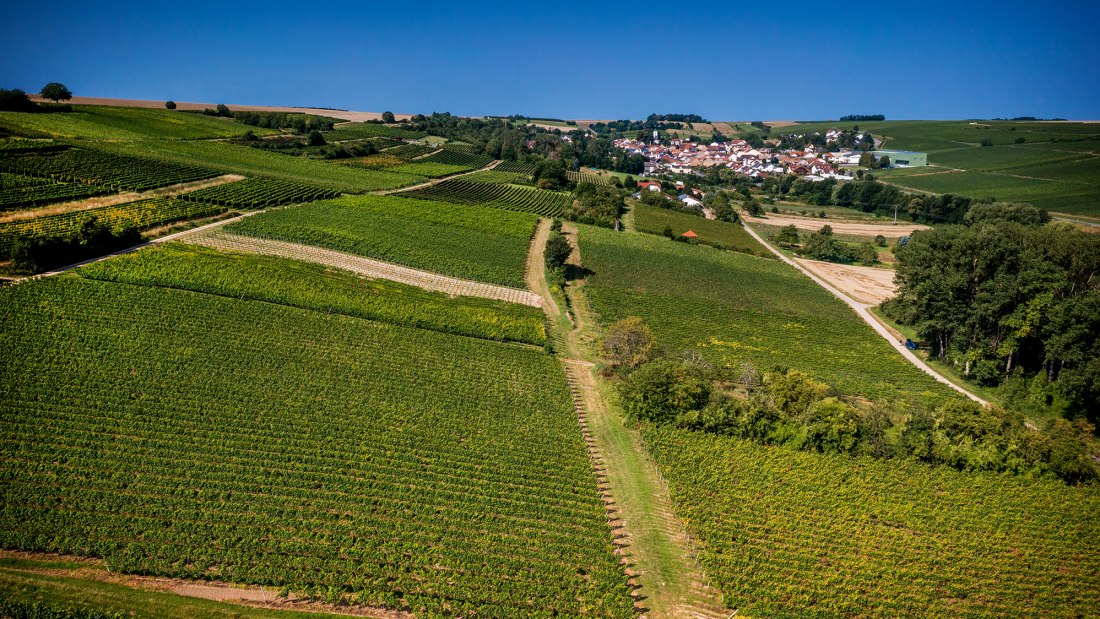 Engelstadter Adelpfad Engelstadter Adelpfad