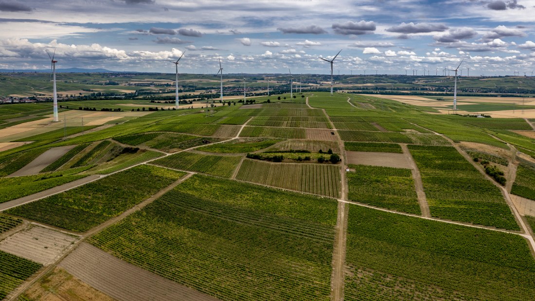 Gumbsheimer Schlosshölle Gumbsheimer Schlosshölle