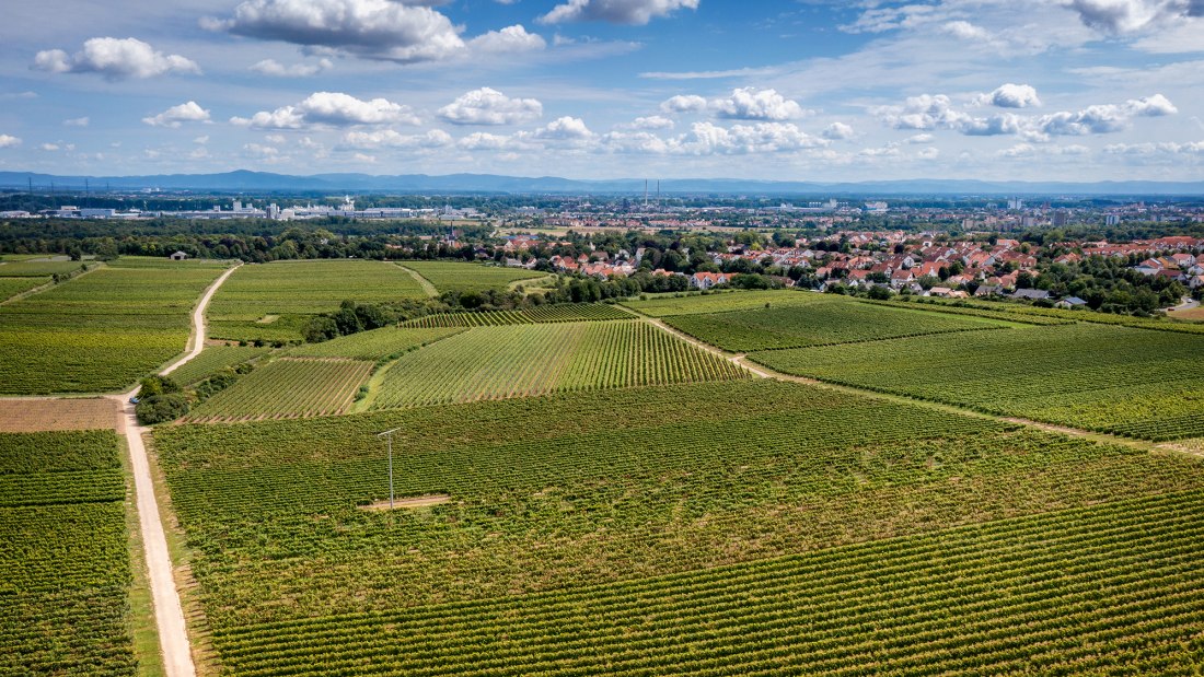 Herrnsheimer Schloß Herrnsheimer Schloß