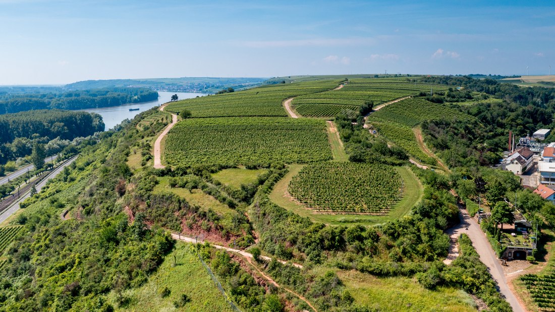 Nackenheimer Rothenberg Nackenheimer Rothenberg