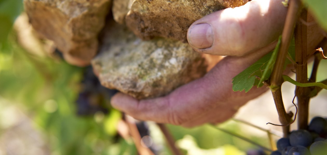 Weingut Michel-Pfannebecker_Hände, © Weingut Michel-Pfannebecker Weingut Michel-Pfannebecker_Hände, © Weingut Michel-Pfannebecker