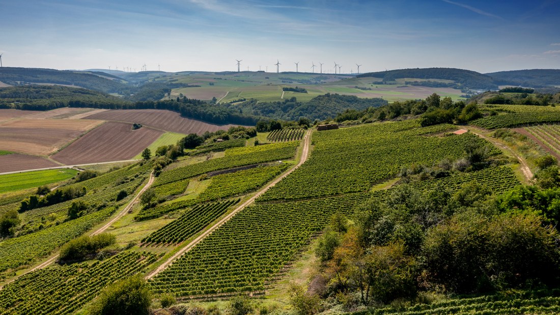Siefersheimer Goldenes Horn Siefersheimer Goldenes Horn