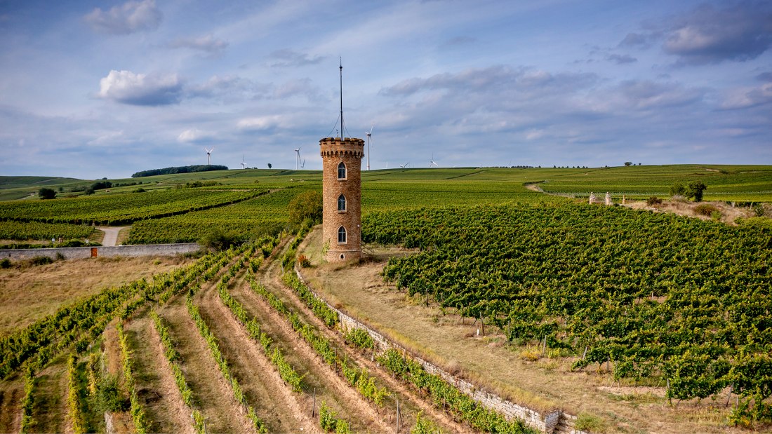 Weinheimer Kapellenberg Weinheimer Kapellenberg