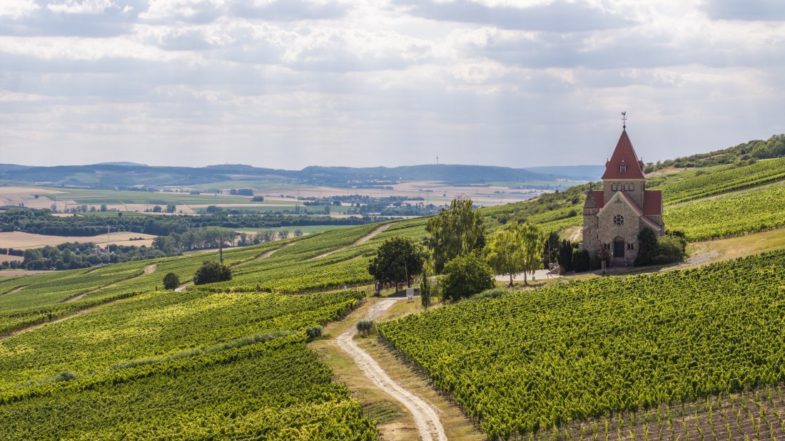 Gau-Bickelheimer Saukopf, © Torsten Silz Gau-Bickelheimer Saukopf, © Torsten Silz