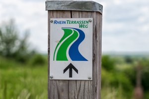 RheinTerrassenWeg-Pfosten, © Rheinhessen Touristik, KGMüller RheinTerrassenWeg-Pfosten, © Rheinhessen Touristik, KGMüller