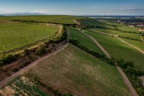 Niersteiner Orbel Niersteiner Orbel