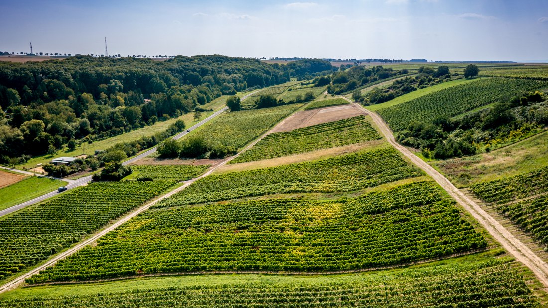 Jugenheimer Goldberg Jugenheimer Goldberg