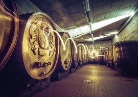 Kellerführung, © Weingut Hagemann GbR Kellerführung, © Weingut Hagemann GbR