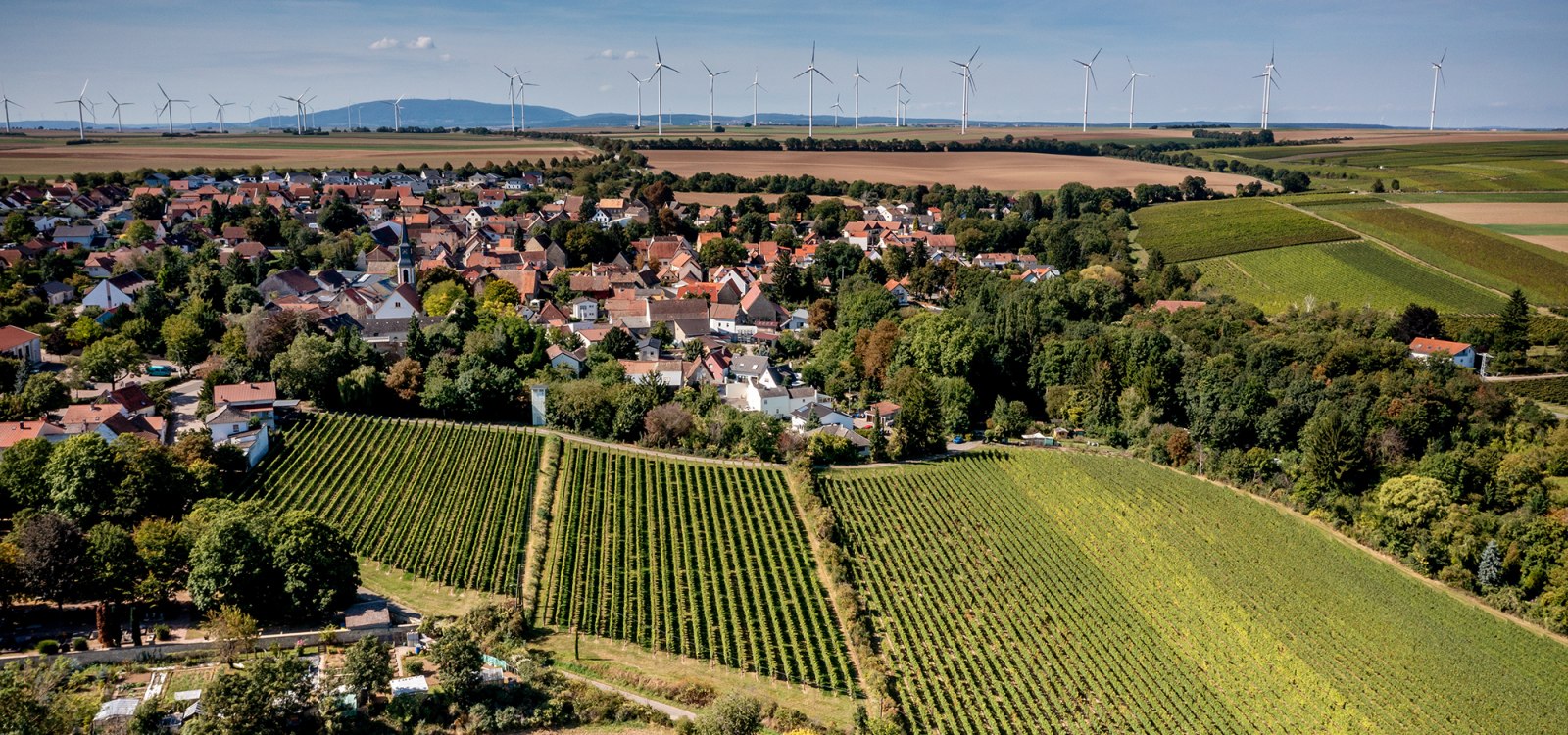 Flomborner Feuerberg Flomborner Feuerberg