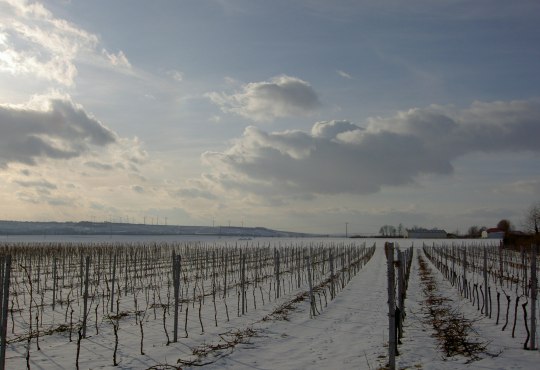 Winterlandschaft in Dorn-Dürkheim, © Stefan Pruin Winterlandschaft in Dorn-Dürkheim, © Stefan Pruin