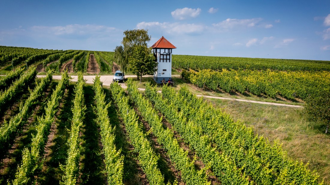 Jugenheimer Goldberg Jugenheimer Goldberg