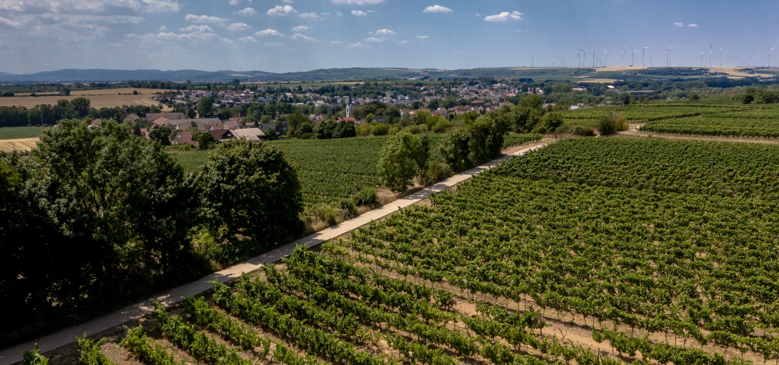 Monsheimer Rosengarten Monsheimer Rosengarten