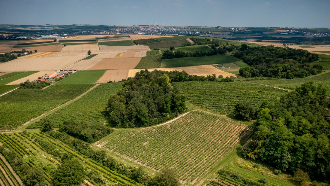 Stadecker Lenchen Stadecker Lenchen