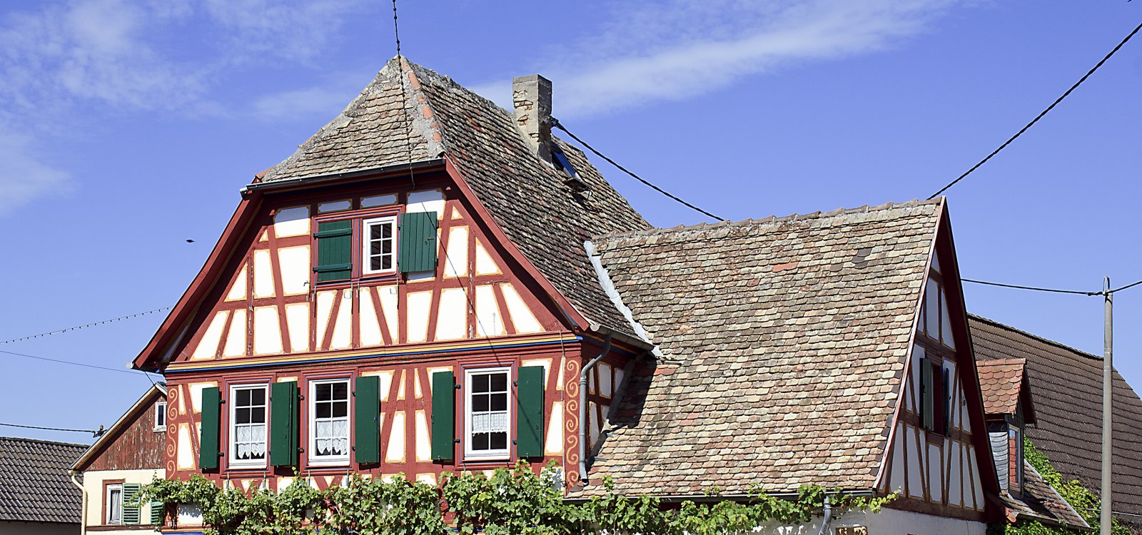 Friesenheim, ehem. Rathaus, © Von Rudolf Stricker - Eigenes Werk, Attribution, https://commons.wikimedia.org/w/index.php?curid=11232560 Fachwerkhaus mit grün lackierten Fensterläden und Weinreben an der Fassade unter blauem Himmel