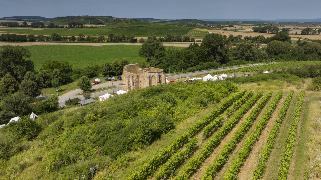 Eckelsheimer Eseltreiber, © Torsten Silz Eckelsheimer Eseltreiber, © Torsten Silz