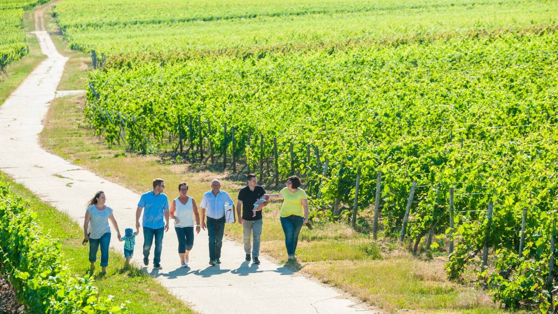 Weingut Hammen_Familie, © Weingut Hammen Weingut Hammen_Familie, © Weingut Hammen