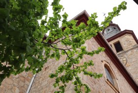 Ev. Kirche Eimsheim © Tourismus Service Center der Verbandsgemeinde Rhein-Selz Ev. Kirche Eimsheim © Tourismus Service Center der Verbandsgemeinde Rhein-Selz