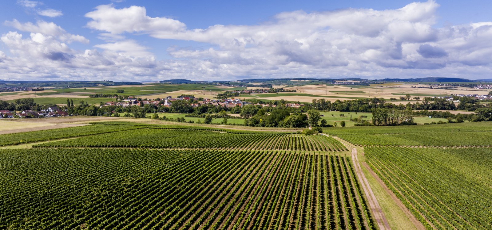 Badenheimer Galgenberg Badenheimer Galgenberg