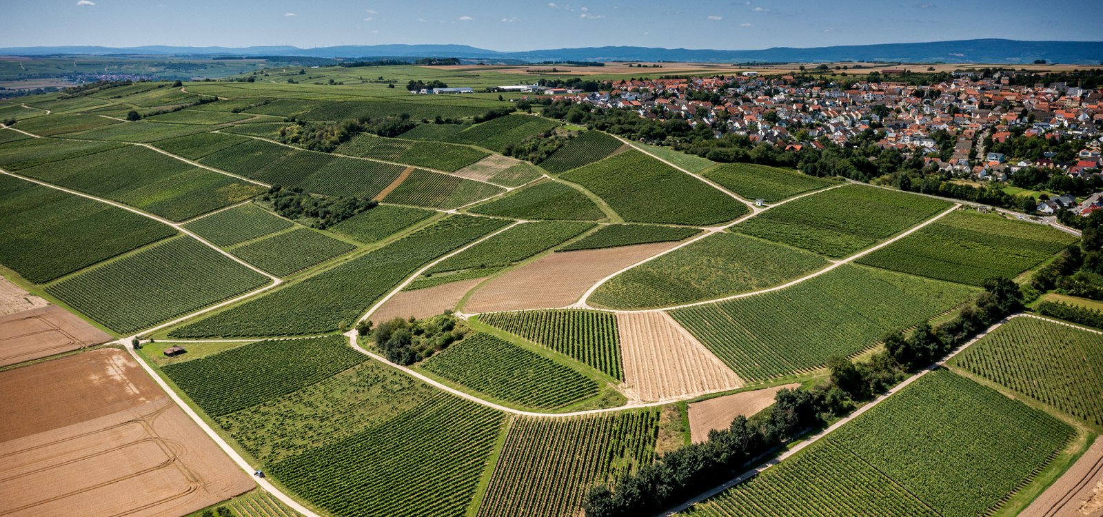 Essenheimer Teufelspfad Essenheimer Teufelspfad