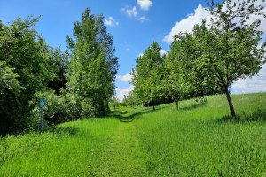 ViaNatura Hahnheim, © TSC Rhein-Selz ViaNatura Hahnheim, © TSC Rhein-Selz