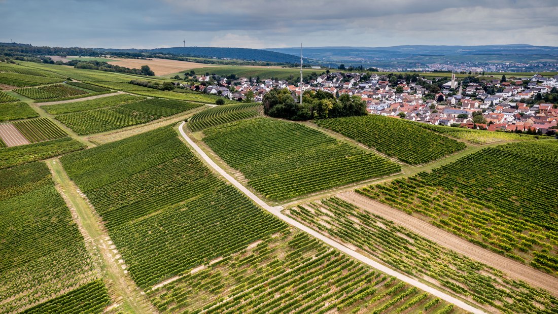 Hackenheimer Kirchberg Hackenheimer Kirchberg