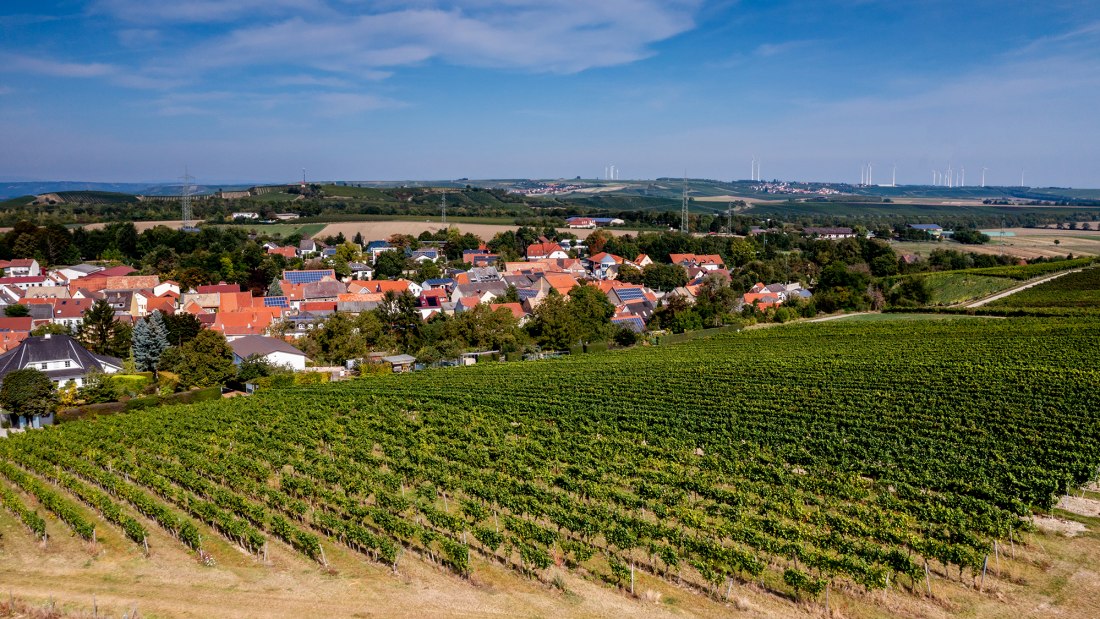 Albiger Schloss Hammerstein Albiger Schloss Hammerstein