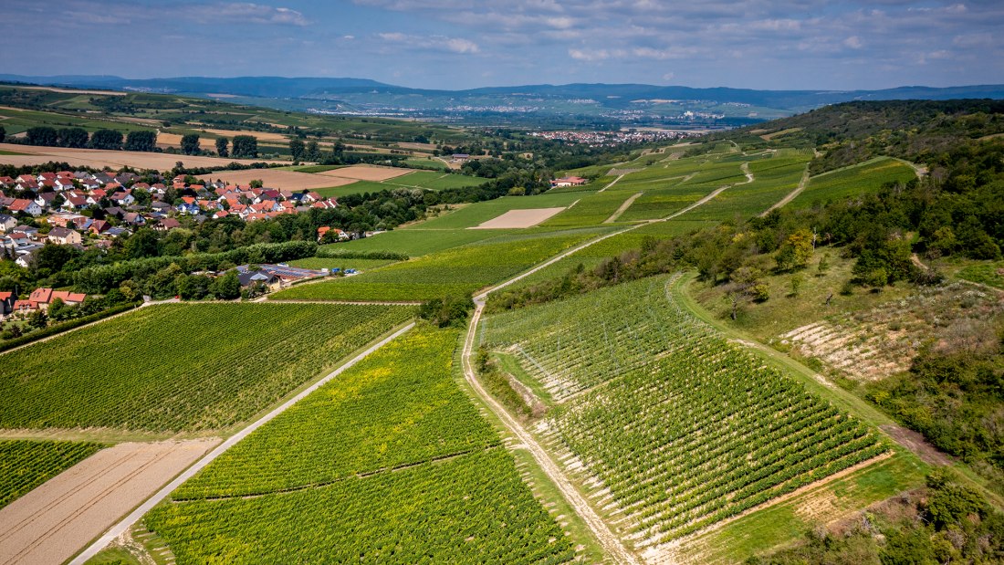 Appenheimer Hundertgulden Appenheimer Hundertgulden