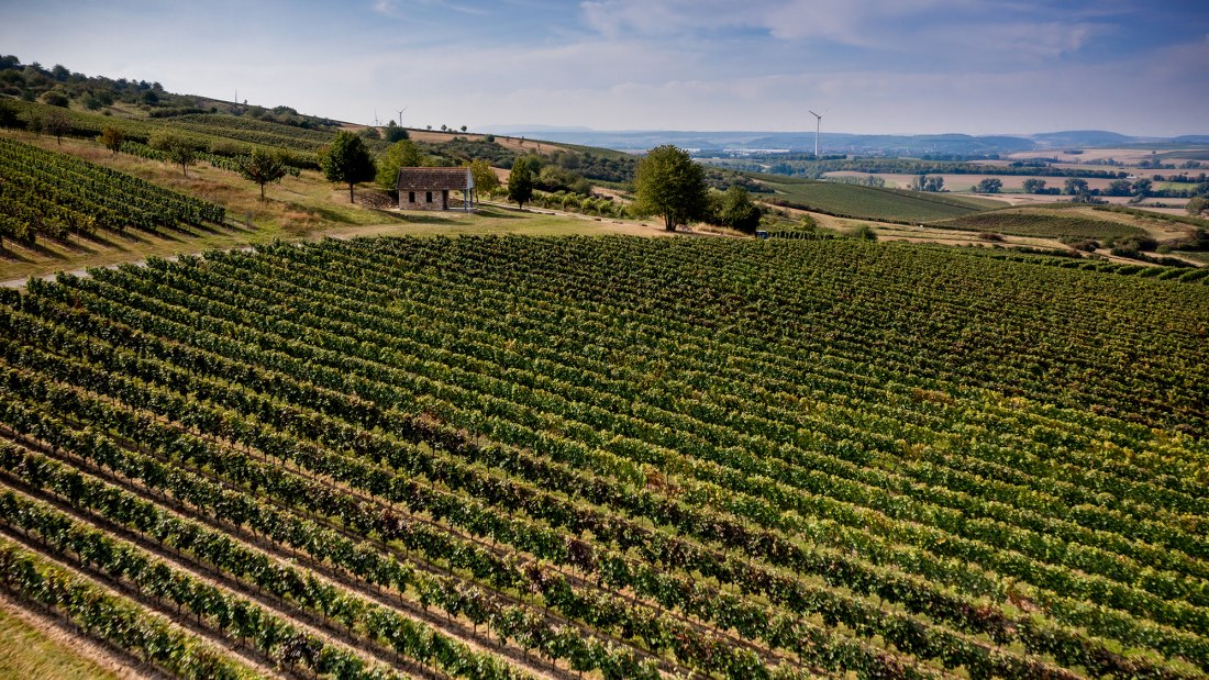 Sprendlinger Wißberg Sprendlinger Wißberg