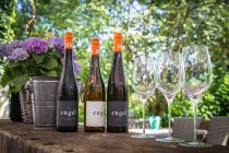 foto_weinflaschen foto_weinflaschen