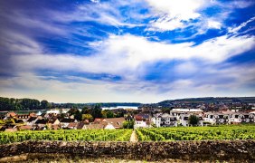 Älteste Weinlage Deutschlands - Glöck © www.inmedia.info Älteste Weinlage Deutschlands - Glöck © www.inmedia.info