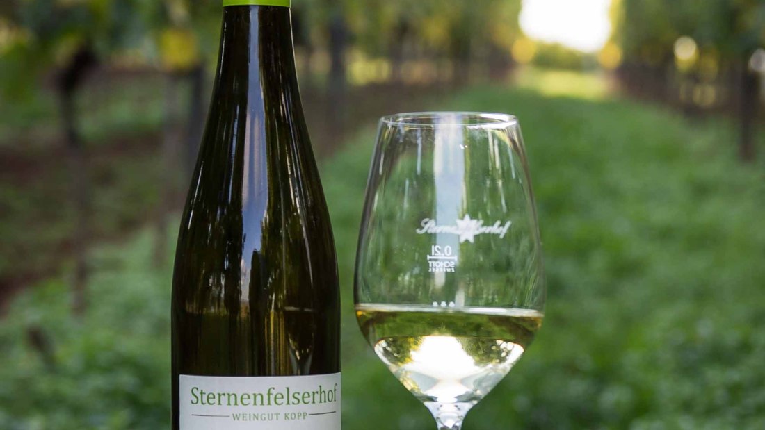 Weingut Sternenfelserhof_Ölberg, © Weingut Sternenfelserhof Weingut Sternenfelserhof_Ölberg, © Weingut Sternenfelserhof
