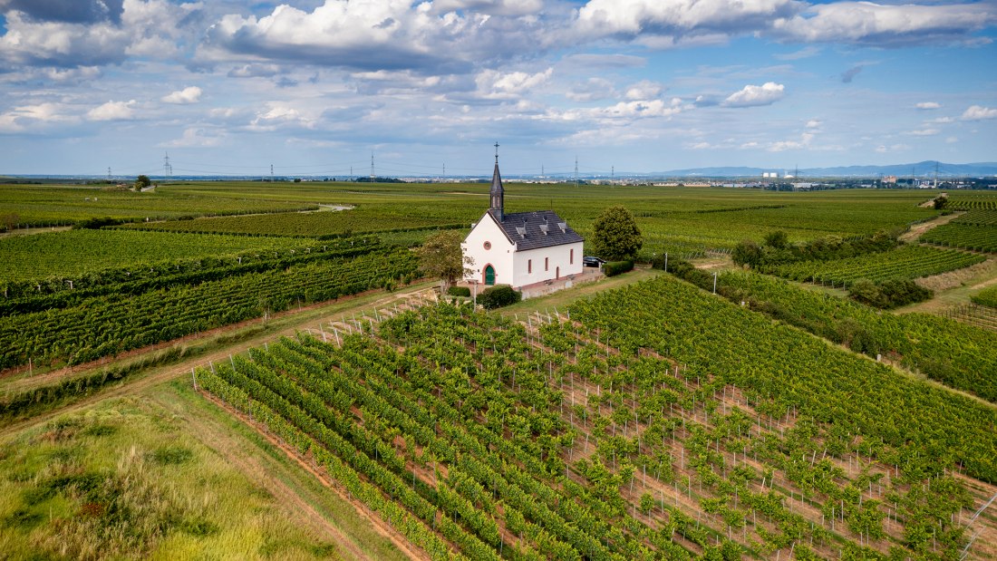 Abenheimer Klausenberg, © Torsten Silz Abenheimer Klausenberg, © Torsten Silz