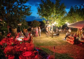 Winehattan 1, © Weingut Hagemann GbR Winehattan 1, © Weingut Hagemann GbR