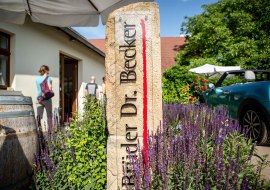 Willkommen im Weingut Brüder Dr. Becker, © Weingut Brüder Dr. Becker Willkommen im Weingut Brüder Dr. Becker, © Weingut Brüder Dr. Becker