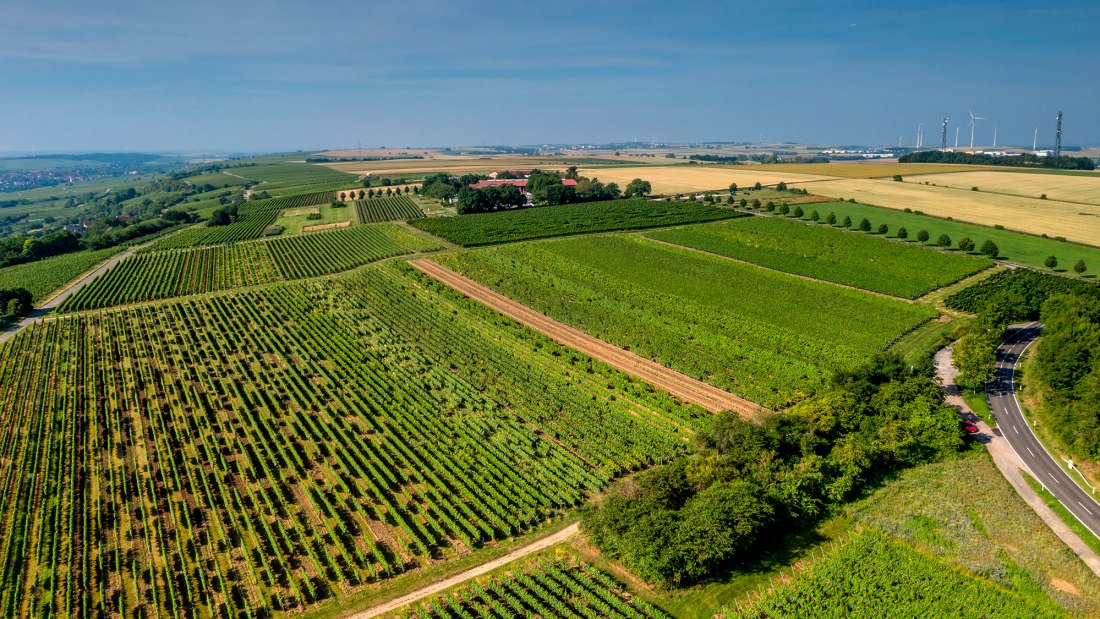 Hechtsheimer Kirchenstück Hechtsheimer Kirchenstück