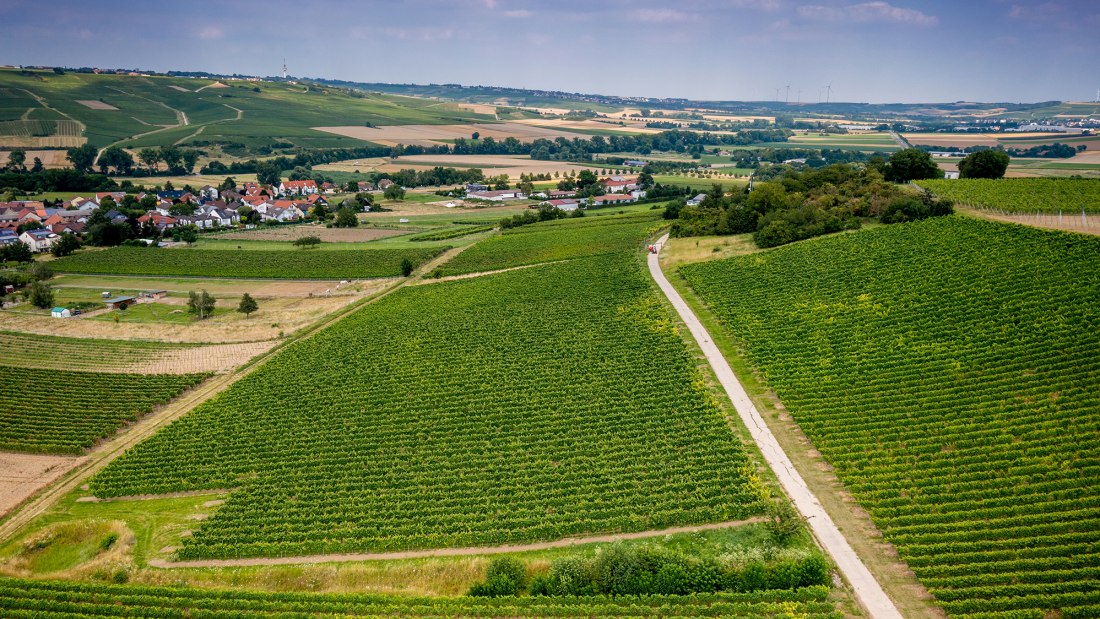 Stadecker Spitzberg Stadecker Spitzberg