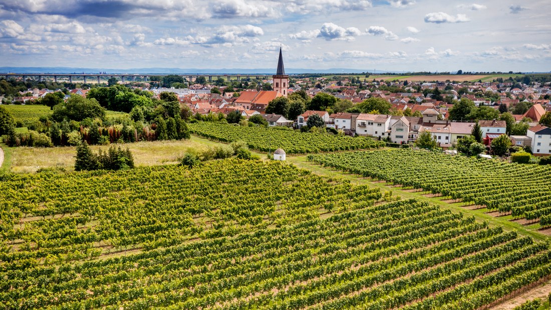 Pfeddersheimer Sankt Georgenberg Pfeddersheimer Sankt Georgenberg