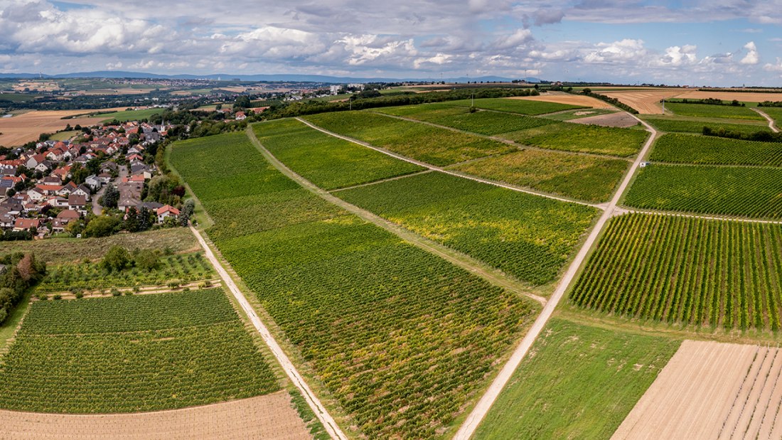 Sörgenlocher Moosberg Sörgenlocher Moosberg