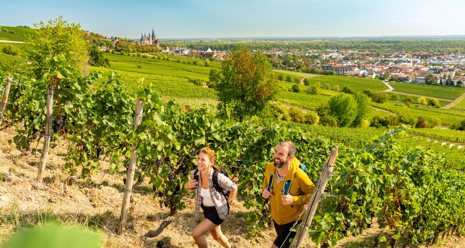 Ein Paar wandert an einem sonnigen Tag durch Weinberge. Im Hintergrund ist Oppenheim mit der Katharinenkirche zu sehen., © Dominik Ketz, Rheinhessen-Touristik GmbH Ein Paar wandert durch Weinberge bei Oppenheim.