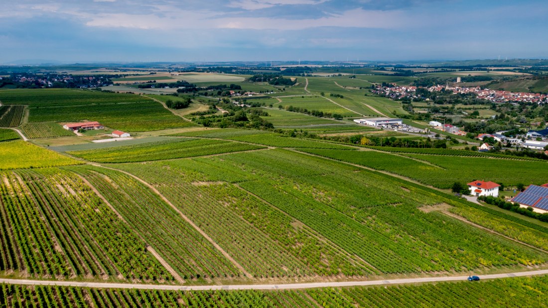 Niersteiner Parterberg-DJI_0227-173, © Torsten Silz Niersteiner Parterberg-DJI_0227-173, © Torsten Silz