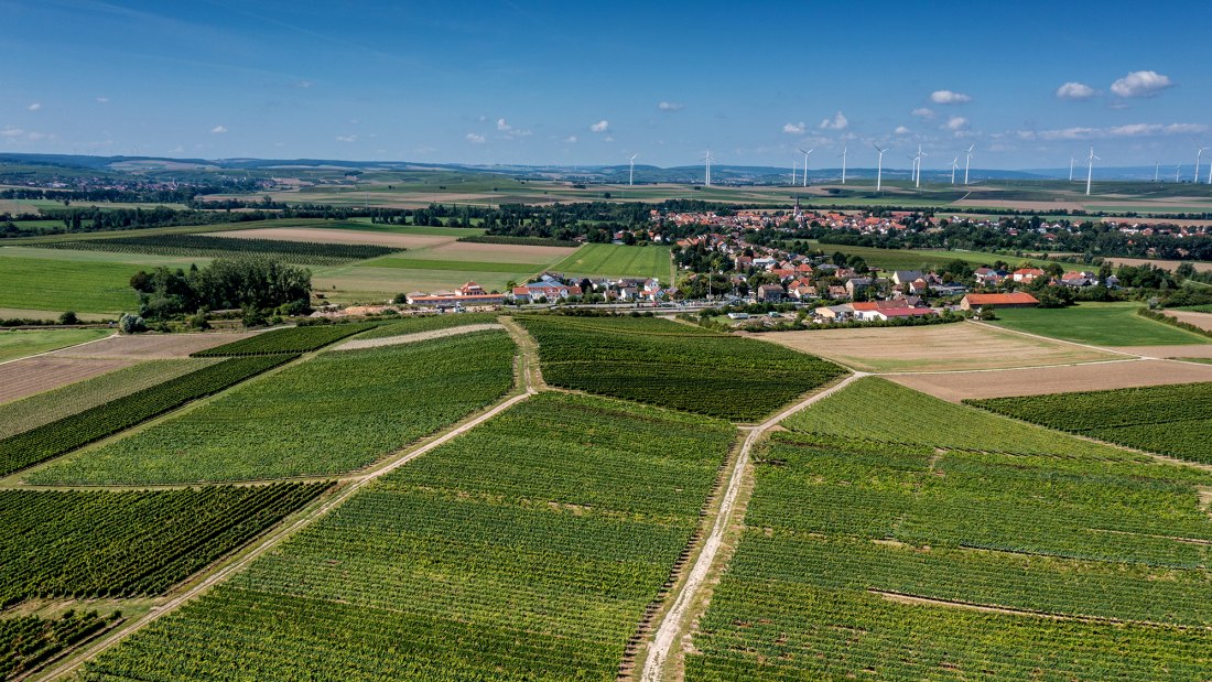 Armsheimer Goldstückchen Armsheimer Goldstückchen