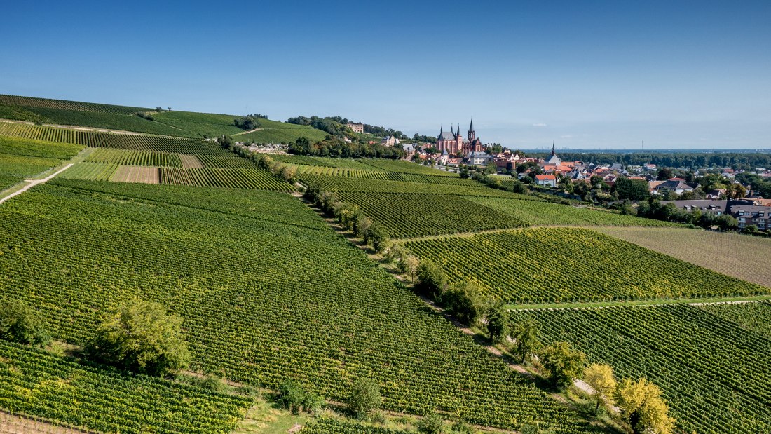 Oppenheimer Kreuz Oppenheimer Kreuz