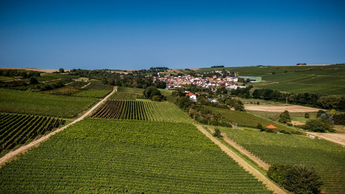 Engelstadter Adelpfad Engelstadter Adelpfad