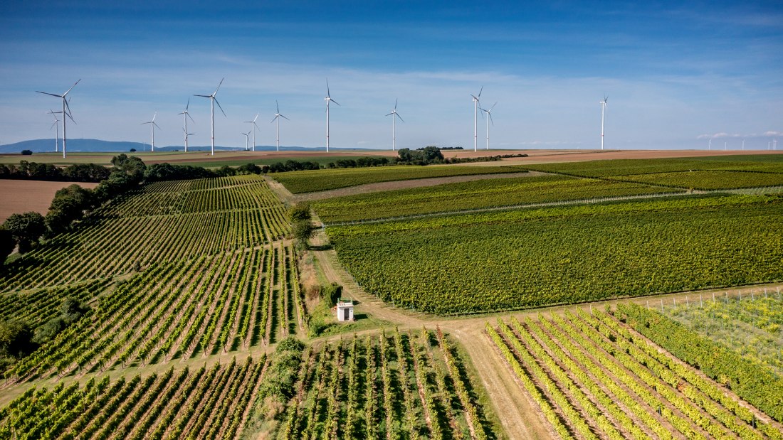 Flomborner Feuerberg Flomborner Feuerberg