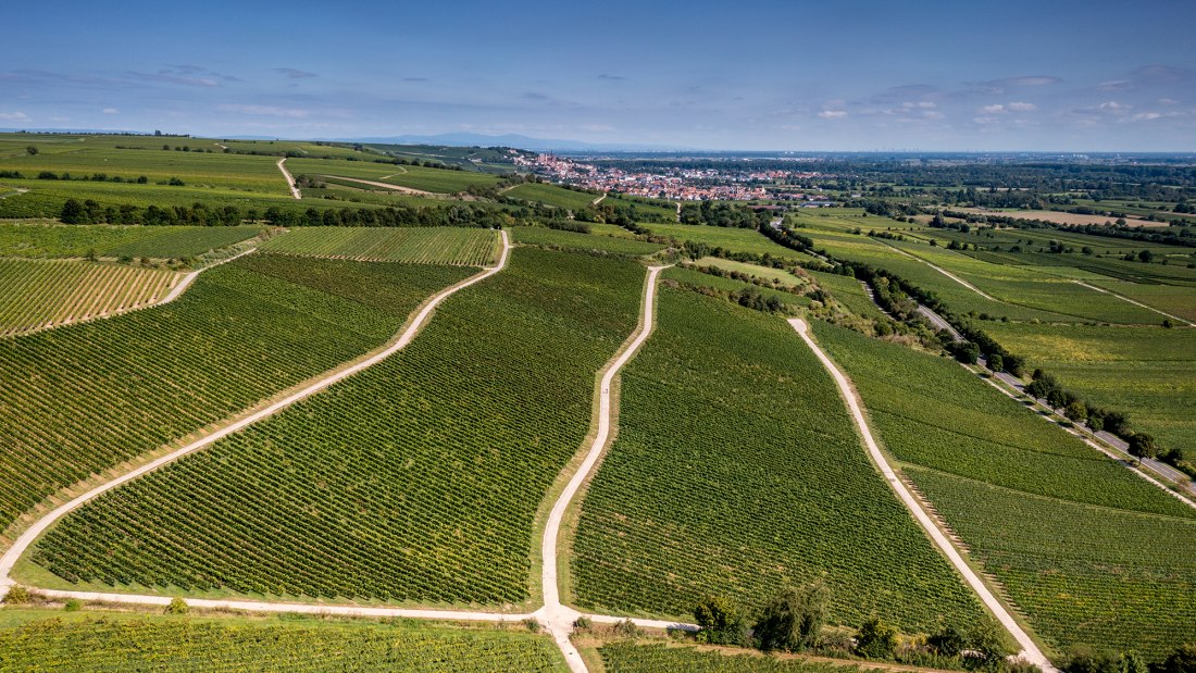 Dienheimer Tafelstein Dienheimer Tafelstein