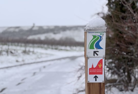 Winterwandern am Roten Hang, © Rheinhessen-Touristik GmbH, Katja Zentel Winterwandern am Roten Hang, © Rheinhessen-Touristik GmbH, Katja Zentel
