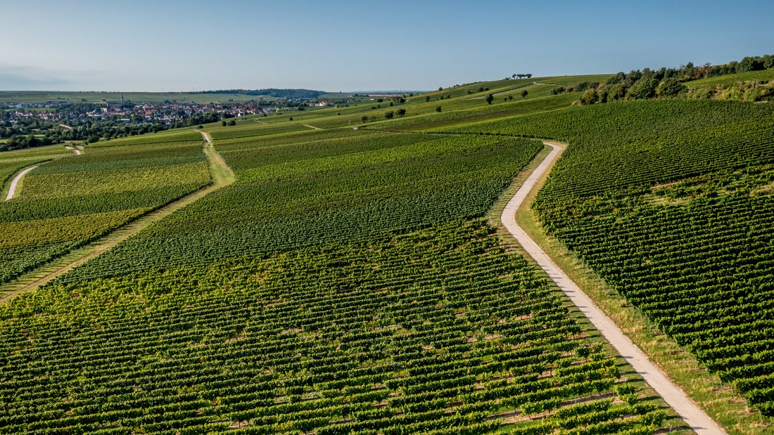 Bodenheimer Mönchspfad Bodenheimer Mönchspfad
