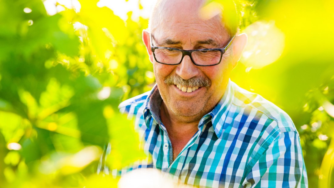 Weingut Hammen_Winzer 2, © Weingut Hammen Weingut Hammen_Winzer 2, © Weingut Hammen